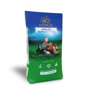 KRÁLÍK CHAMPION