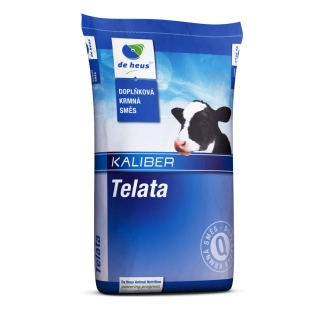 KALIBER STARTER