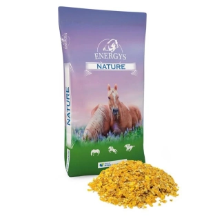 Cornflakes